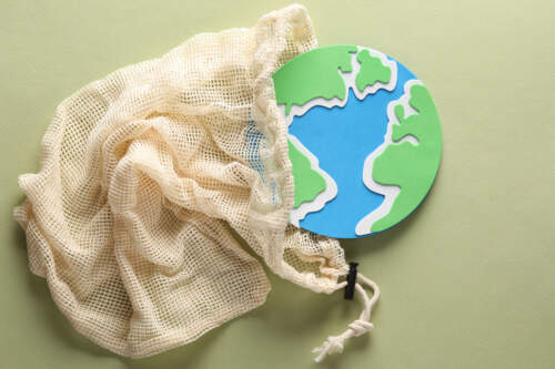 Textiles et développement durable (E530-101)